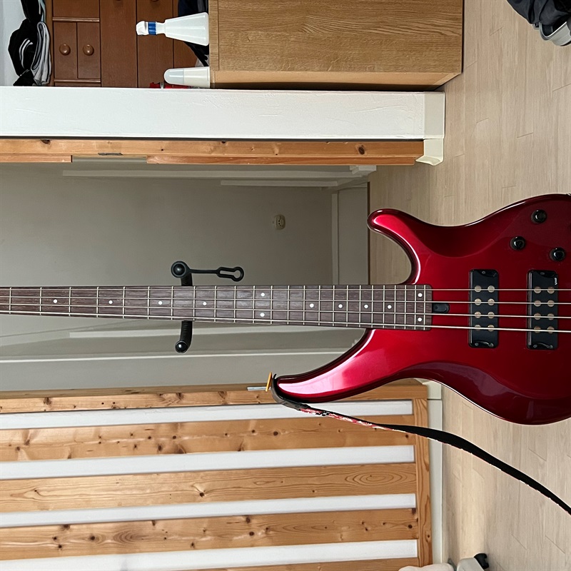 YAMAHA TRBX304の画像